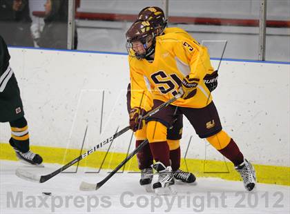Thumbnail 3 in Hamden vs. St. Joseph (Carrano Cup Quarterfinal) photogallery.