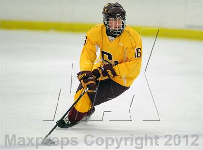 Thumbnail 1 in Hamden vs. St. Joseph (Carrano Cup Quarterfinal) photogallery.