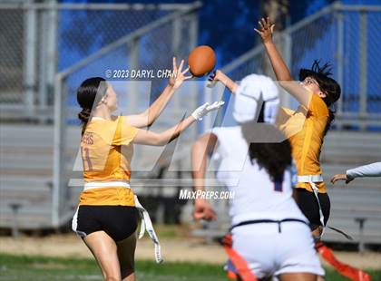 Thumbnail 1 in Garfield vs. Roosevelt photogallery.