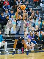 Photo from the gallery "Indian River @ Hickory"