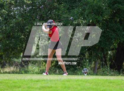 Thumbnail 3 in UIL 5A Golf Finals photogallery.