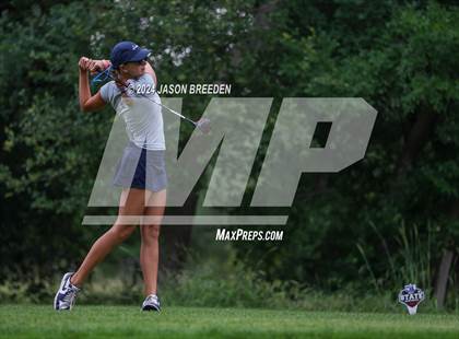 Thumbnail 1 in UIL 5A Golf Finals photogallery.