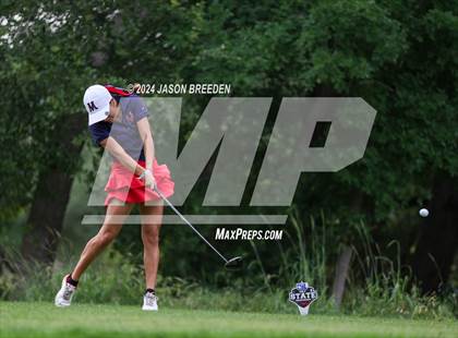 Thumbnail 1 in UIL 5A Golf Finals photogallery.