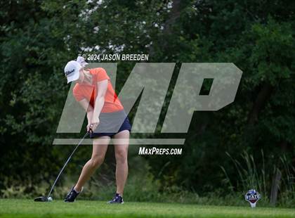Thumbnail 1 in UIL 5A Golf Finals photogallery.