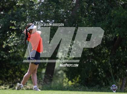 Thumbnail 1 in UIL 5A Golf Finals photogallery.