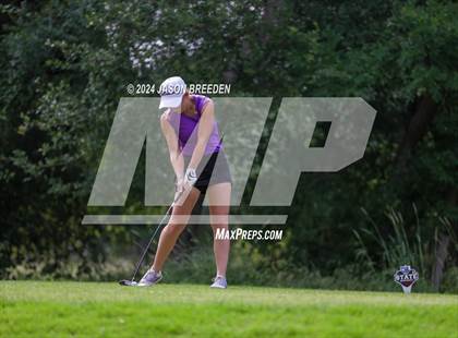 Thumbnail 1 in UIL 5A Golf Finals photogallery.
