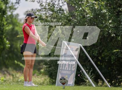 Thumbnail 3 in UIL 5A Golf Finals photogallery.