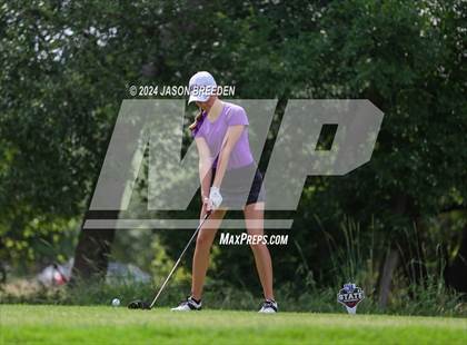 Thumbnail 2 in UIL 5A Golf Finals photogallery.