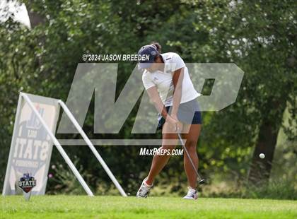 Thumbnail 1 in UIL 5A Golf Finals photogallery.