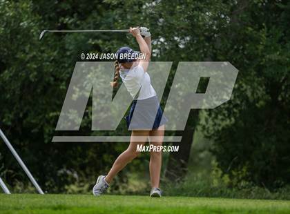 Thumbnail 1 in UIL 5A Golf Finals photogallery.