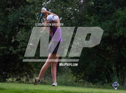 Thumbnail 1 in UIL 5A Golf Finals photogallery.