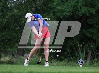 Thumbnail 2 in UIL 5A Golf Finals photogallery.