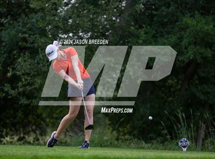 Thumbnail 3 in UIL 5A Golf Finals photogallery.