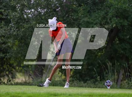 Thumbnail 1 in UIL 5A Golf Finals photogallery.