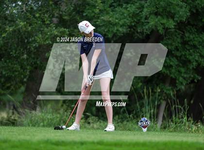 Thumbnail 3 in UIL 5A Golf Finals photogallery.