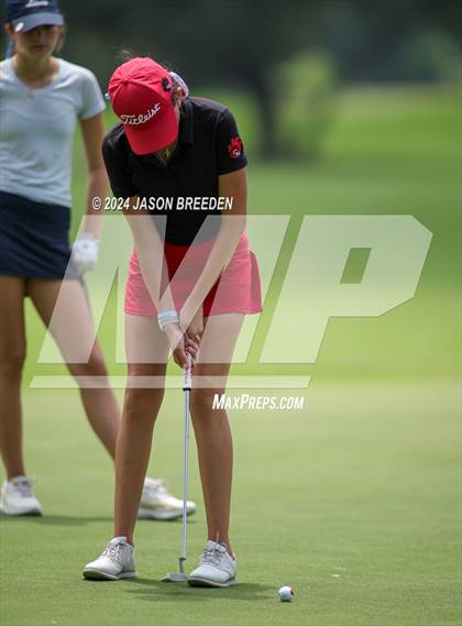 Thumbnail 1 in UIL 5A Golf Finals photogallery.