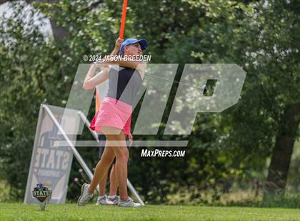 Thumbnail 1 in UIL 5A Golf Finals photogallery.