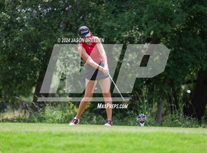 Thumbnail 1 in UIL 5A Golf Finals photogallery.
