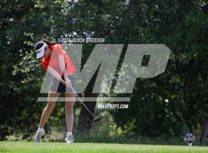Thumbnail 2 in UIL 5A Golf Finals photogallery.