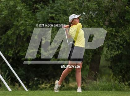 Thumbnail 3 in UIL 5A Golf Finals photogallery.