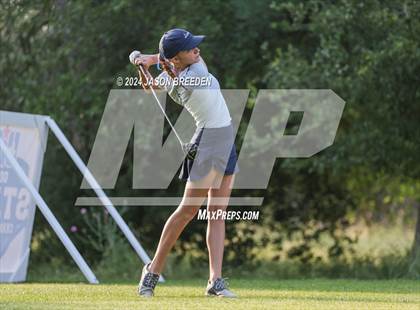 Thumbnail 2 in UIL 5A Golf Finals photogallery.