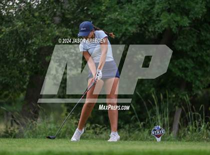 Thumbnail 3 in UIL 5A Golf Finals photogallery.