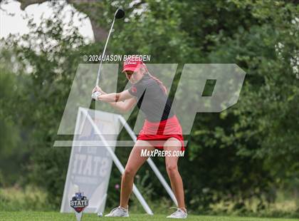Thumbnail 1 in UIL 5A Golf Finals photogallery.