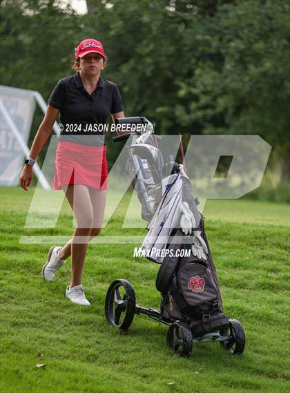 Thumbnail 1 in UIL 5A Golf Finals photogallery.