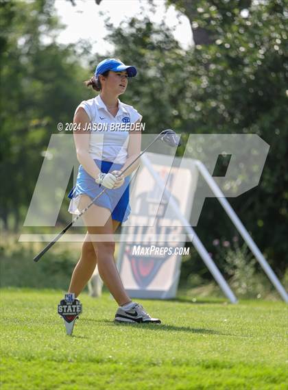 Thumbnail 1 in UIL 5A Golf Finals photogallery.