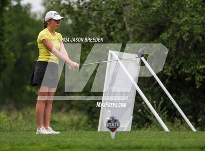 Thumbnail 2 in UIL 5A Golf Finals photogallery.