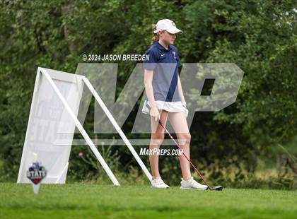 Thumbnail 1 in UIL 5A Golf Finals photogallery.