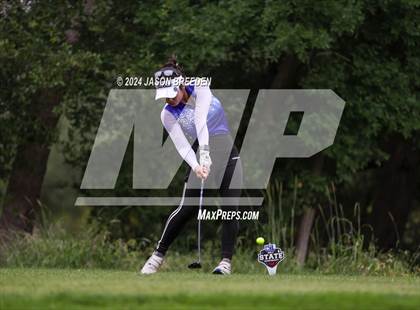 Thumbnail 1 in UIL 5A Golf Finals photogallery.
