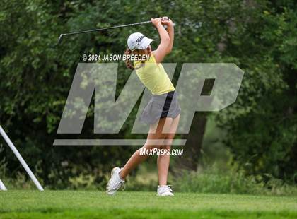 Thumbnail 3 in UIL 5A Golf Finals photogallery.