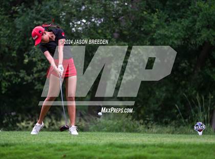 Thumbnail 1 in UIL 5A Golf Finals photogallery.