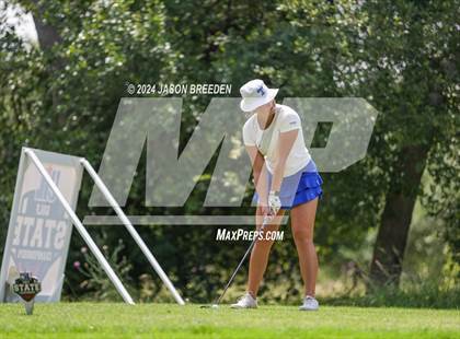 Thumbnail 3 in UIL 5A Golf Finals photogallery.
