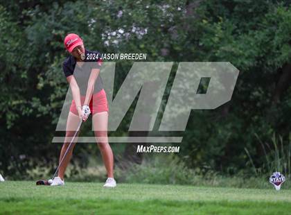 Thumbnail 2 in UIL 5A Golf Finals photogallery.