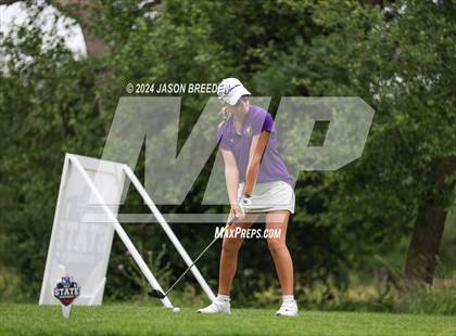 Thumbnail 1 in UIL 5A Golf Finals photogallery.