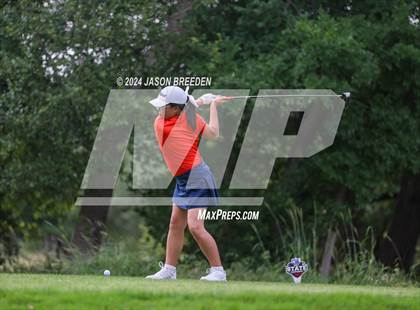 Thumbnail 3 in UIL 5A Golf Finals photogallery.