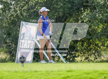 Thumbnail 1 in UIL 5A Golf Finals photogallery.