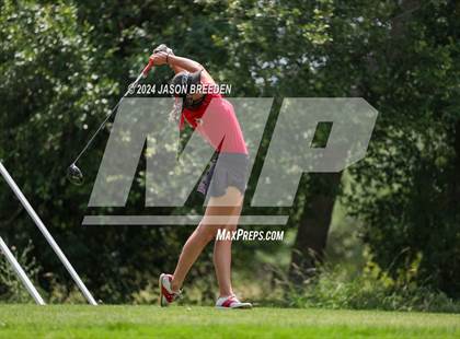 Thumbnail 3 in UIL 5A Golf Finals photogallery.
