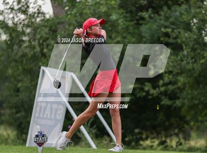 Thumbnail 1 in UIL 5A Golf Finals photogallery.