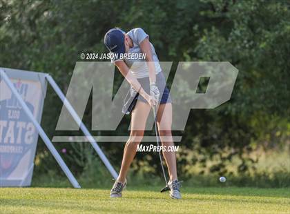 Thumbnail 3 in UIL 5A Golf Finals photogallery.