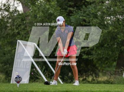 Thumbnail 3 in UIL 5A Golf Finals photogallery.
