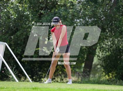 Thumbnail 2 in UIL 5A Golf Finals photogallery.