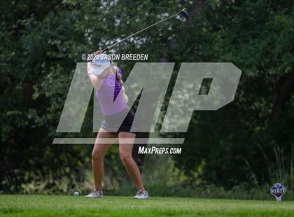 Thumbnail 3 in UIL 5A Golf Finals photogallery.