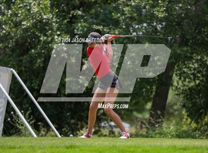 Thumbnail 2 in UIL 5A Golf Finals photogallery.