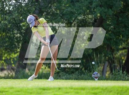 Thumbnail 3 in UIL 5A Golf Finals photogallery.