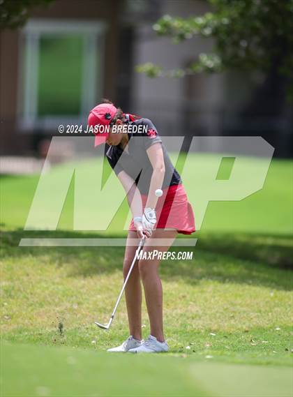 Thumbnail 1 in UIL 5A Golf Finals photogallery.