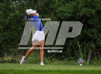 Thumbnail 3 in UIL 5A Golf Finals photogallery.
