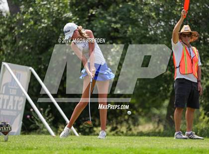 Thumbnail 1 in UIL 5A Golf Finals photogallery.